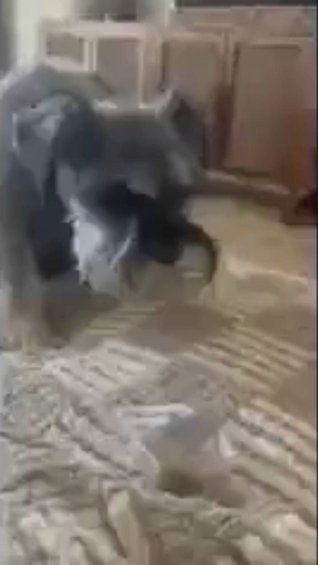 Load video: 