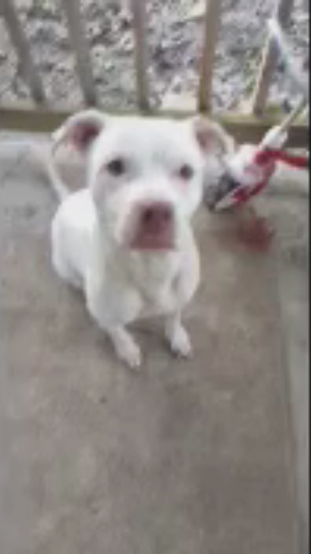 Load video: 