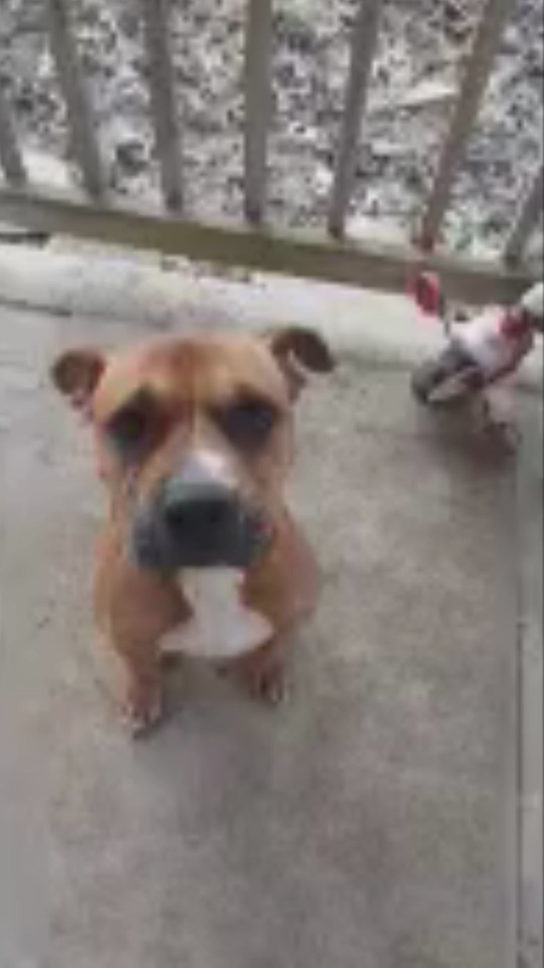 Load video: 